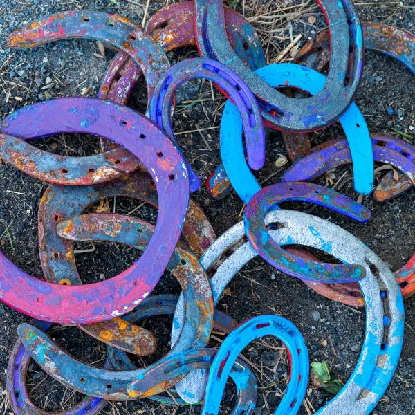 Painted horseshoes
